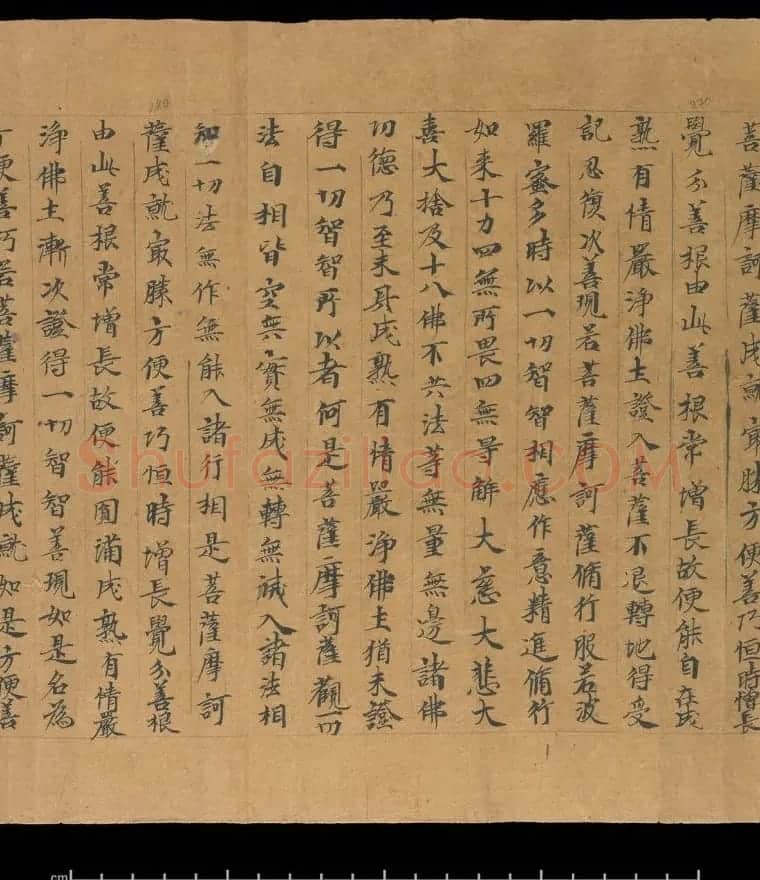 大般若波罗蜜多经卷第四百六十四 俄罗斯藏本 | 敦煌写经欣赏