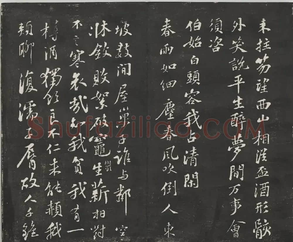 宋代苏轼法帖《观海堂苏帖》册 | 软笔书法作品