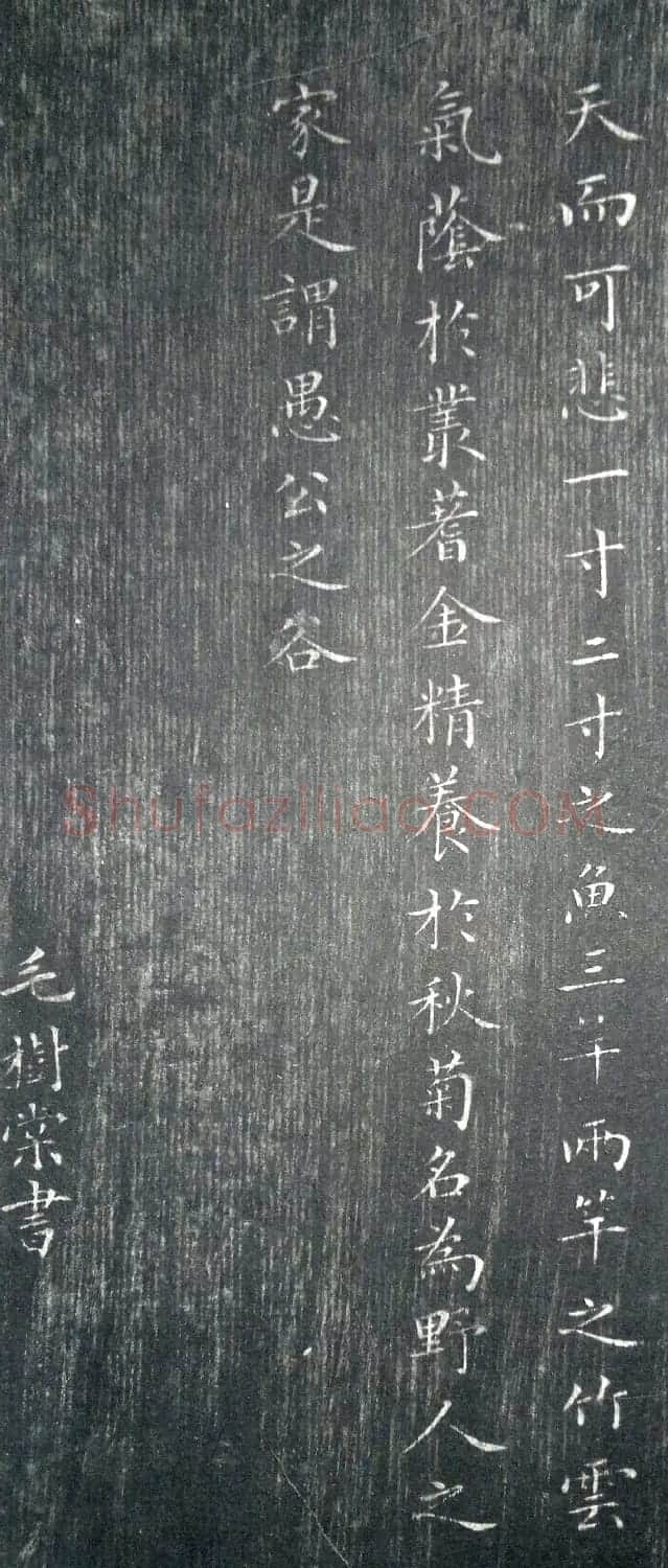 清代毛树棠小楷书法欣赏《小园赋》 | 书法名家作品鉴赏