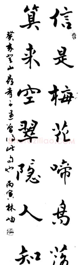 林岫书法作品欣赏 | 书法作品精选