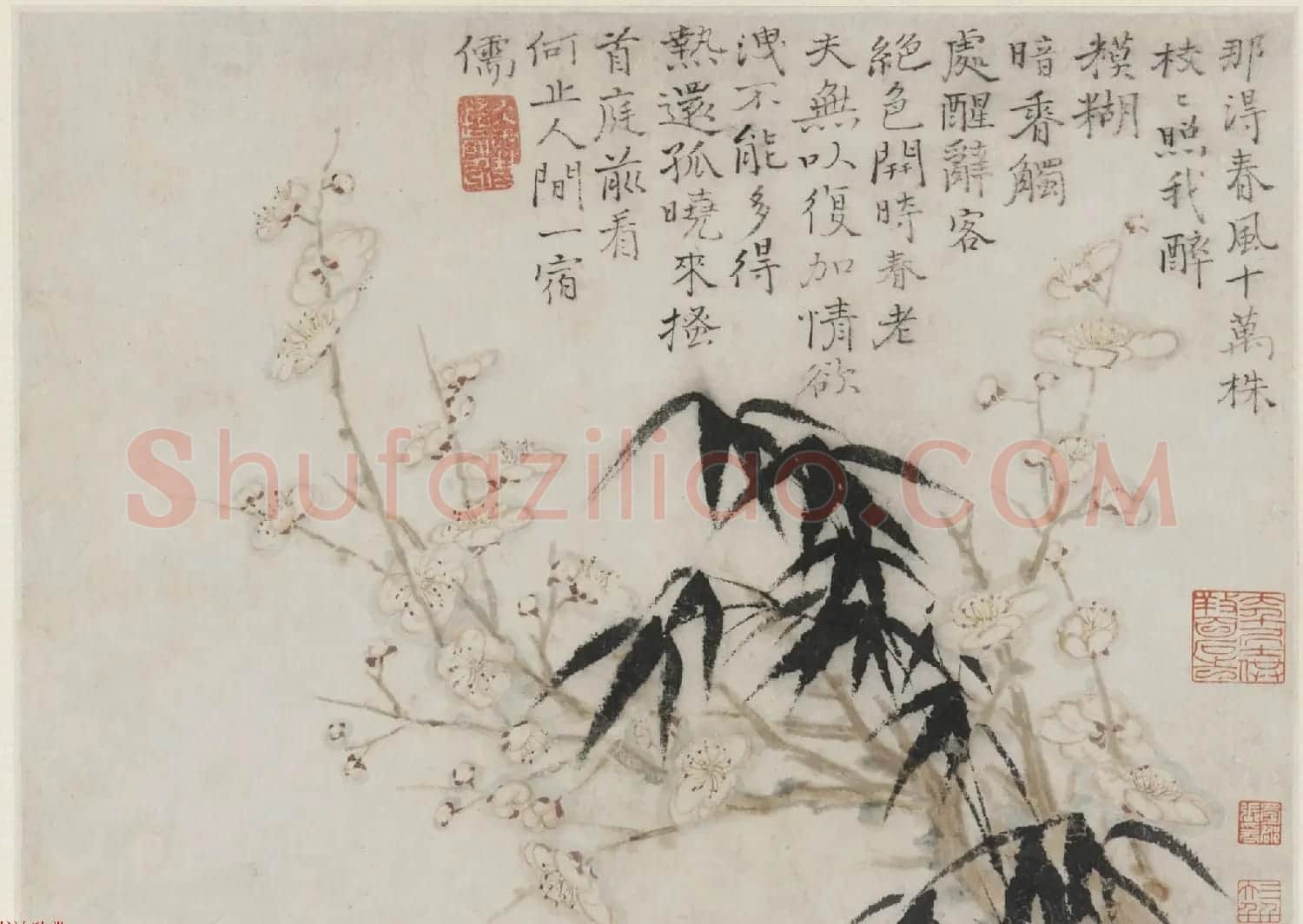 清代画家石涛花卉图册 美国弗利尔美术馆藏 | 传世书法作品鉴赏