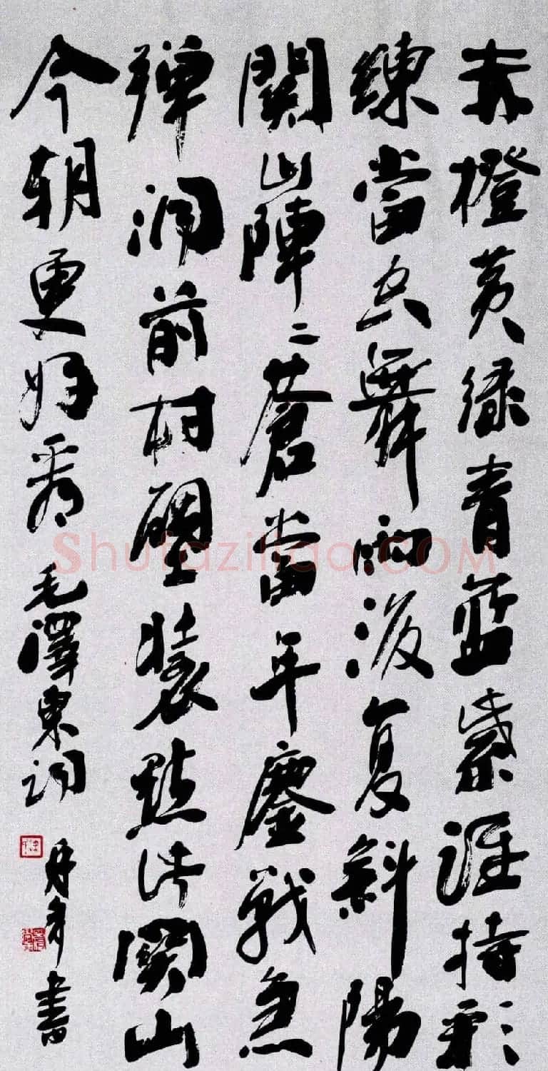 名家书法作品欣赏《毛主席诗词》第二辑 | 名家书法作品赏析