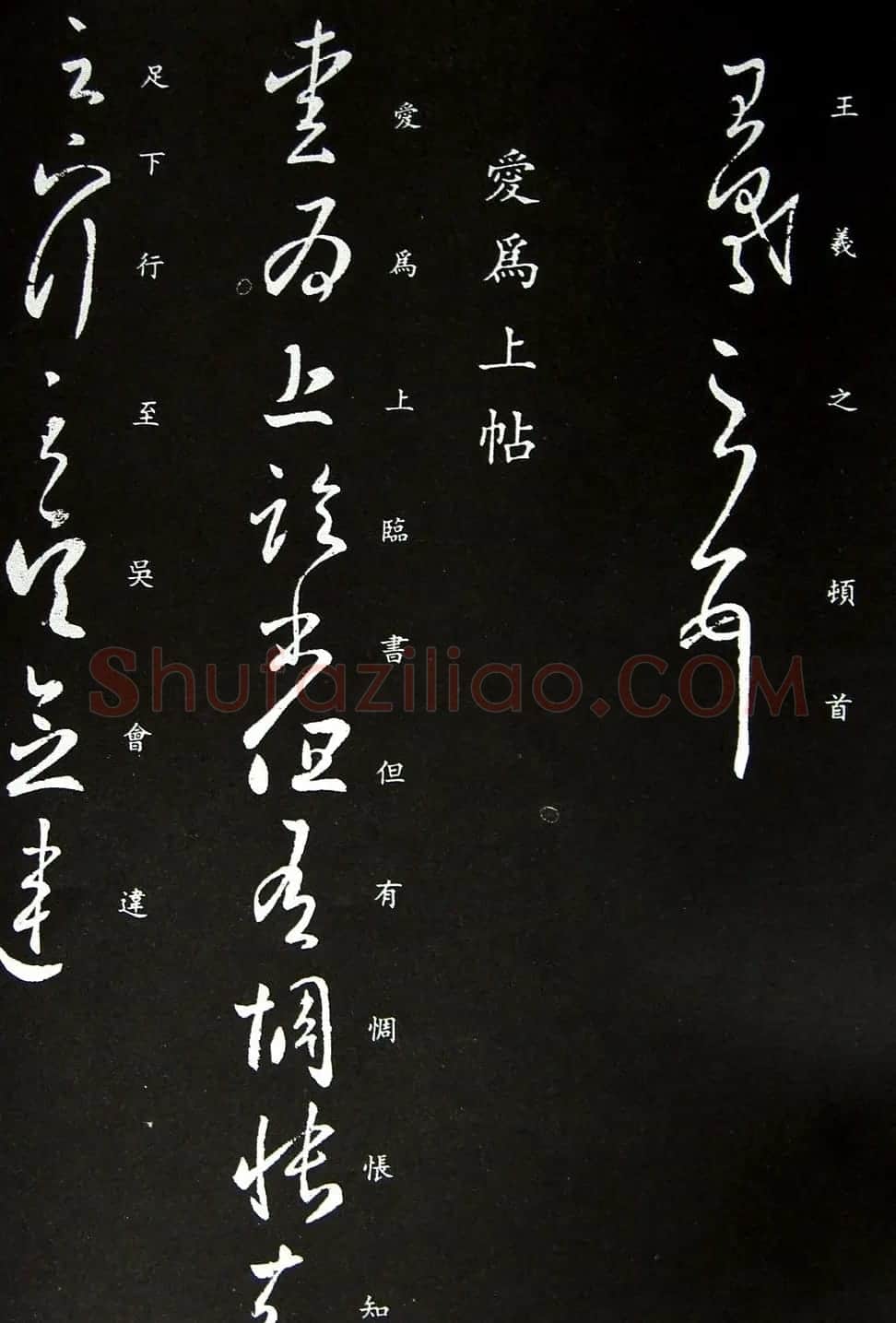王羲之草书欣赏《蒸湿帖》+《爱为上帖》 | 书法名家作品鉴赏