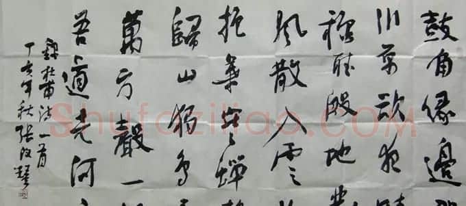 张改琴书法作品欣赏 | 软笔书法作品