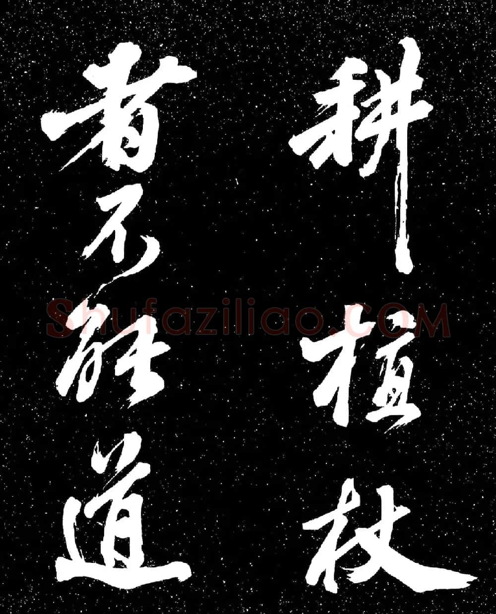 苏东坡行书《衡门帖》(日本藏) | 毛笔书法作品