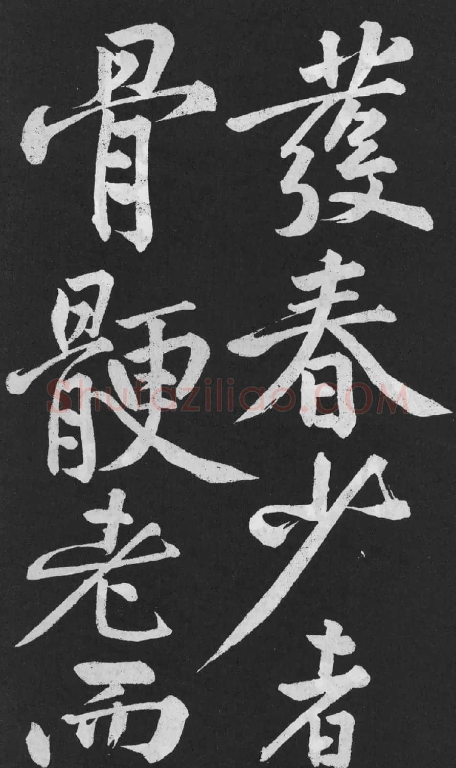 黄庭坚大字行楷书《刘明仲墨竹赋》 | 软笔书法作品