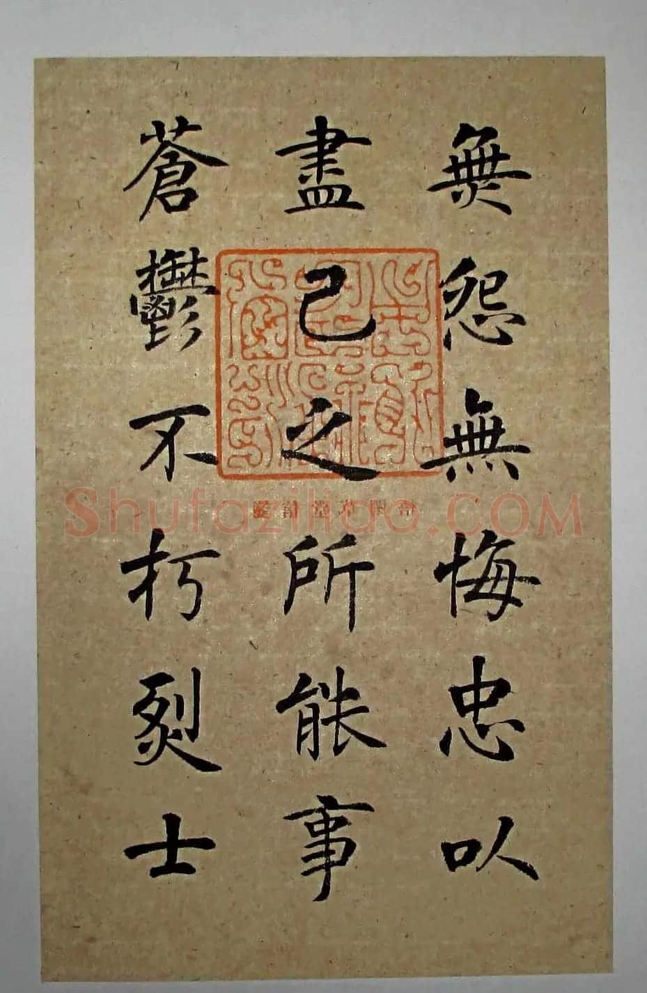 杨华书法楷书册页《松赋》 | 书法名家作品鉴赏
