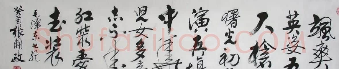 张开政书法作品欣赏 | 书法作品鉴赏