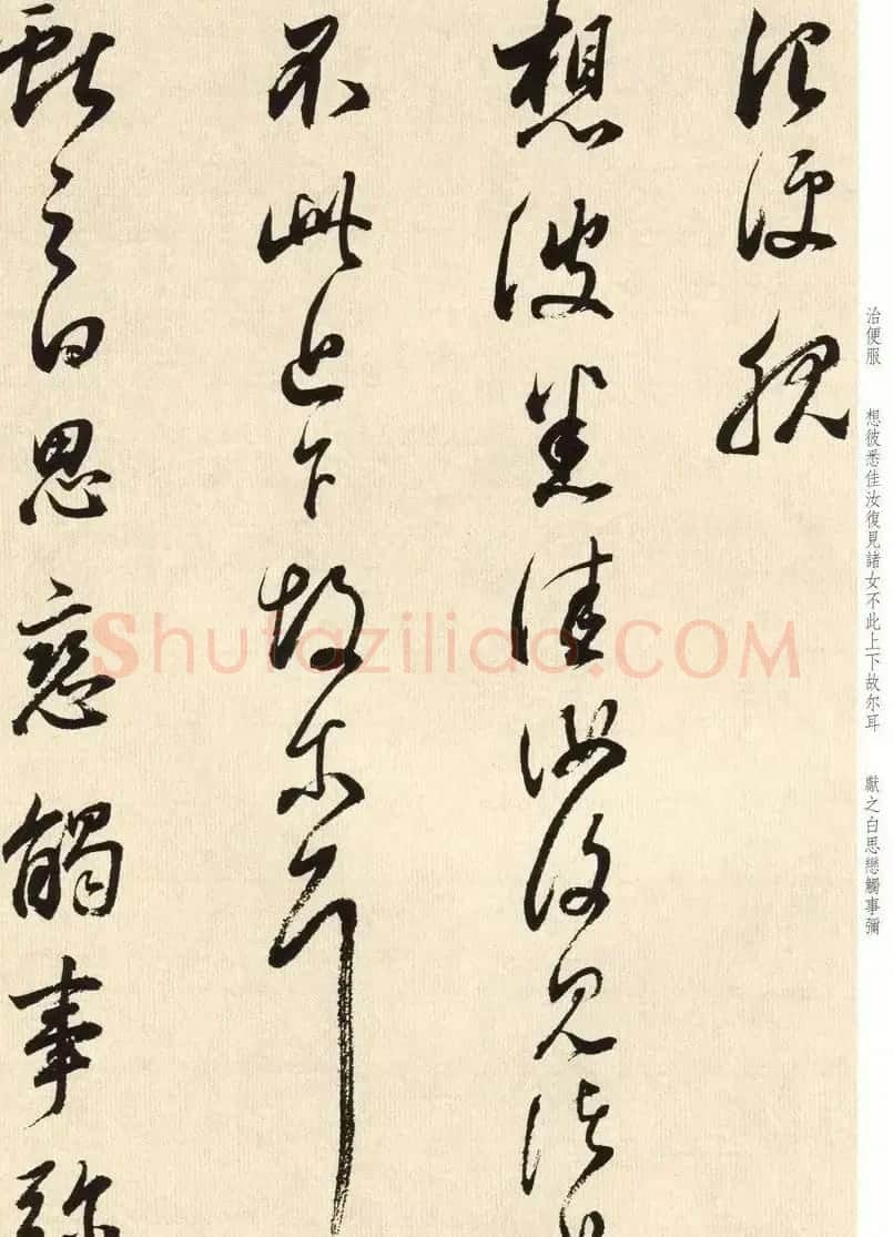 董其昌七十八岁临淳化阁帖卷九 | 软笔书法作品