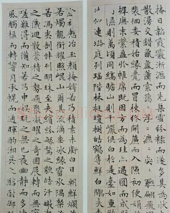 文徵明81岁小楷《雪赋》+《月赋》 | 名家书法作品赏析