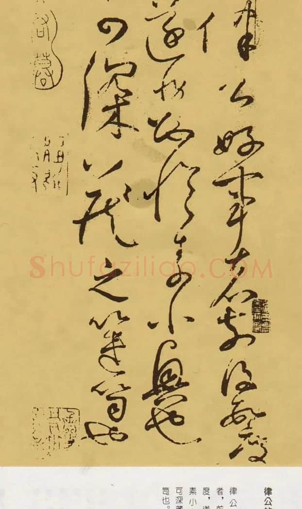 怀素草书《藏真帖》和《律公帖》 | 书法碑帖