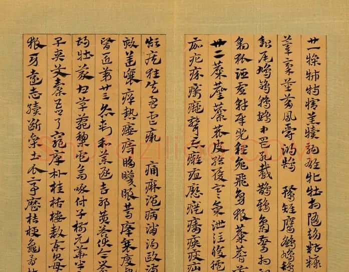 元代赵孟頫书急就章册 台北故宫藏本 | 书法名家作品欣赏
