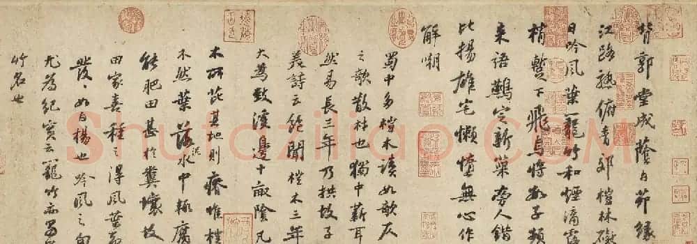 苏轼行书墨迹赏析《杜甫桤木诗卷帖》 | 毛笔书法作品