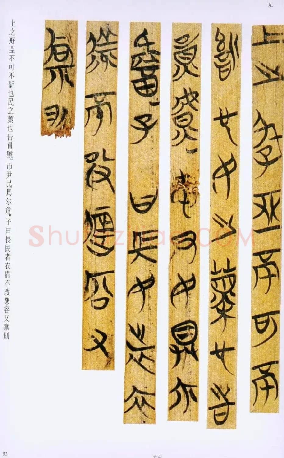 战国楚竹简书法欣赏《缁衣篇》 | 书法作品欣赏