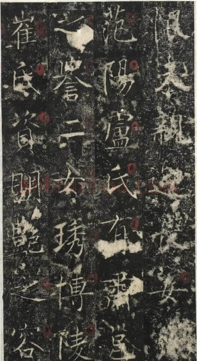 唐代郑聪书法《代国长公主碑》 | 书法碑帖