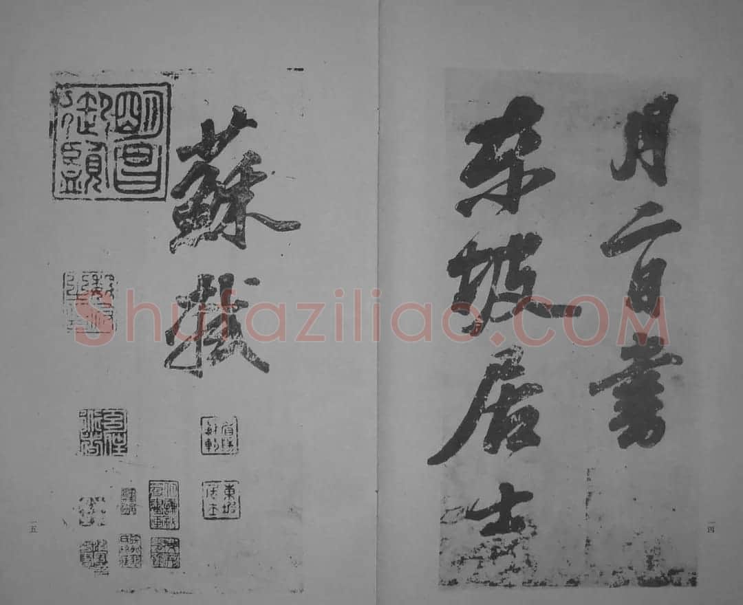 苏轼书爱酒歌真迹 | 毛笔书法作品