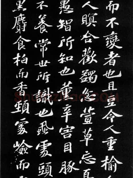 苏轼小楷欣赏《养生论》拓本 | 软笔书法作品