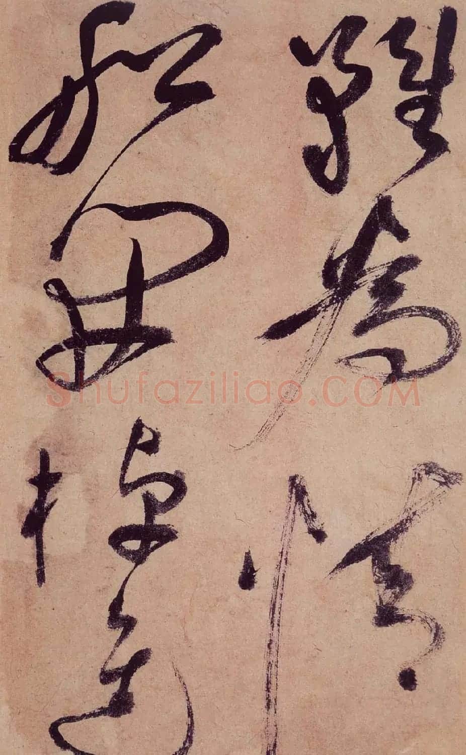祝允明草书欣赏《桃源图诗册》 | 书法名家作品鉴赏