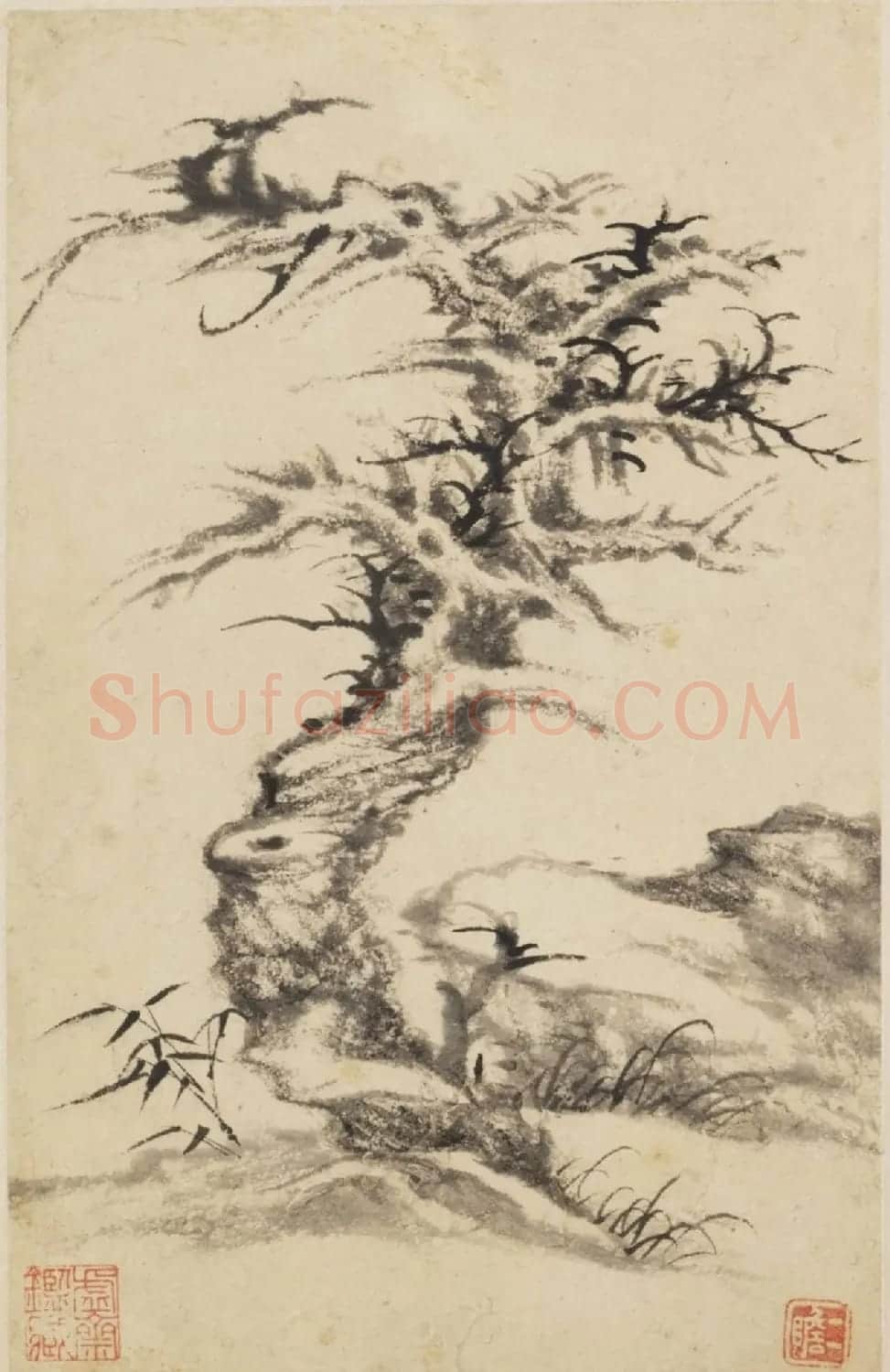 查士标字画欣赏《枯木竹石册》 | 传世书法作品赏析