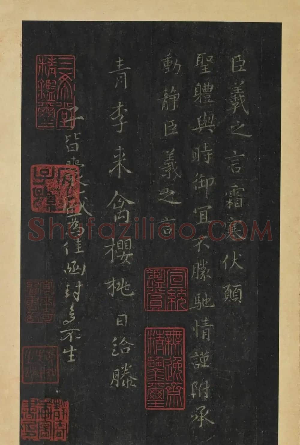 晋代王羲之草书长者帖册 | 名家书法作品赏析