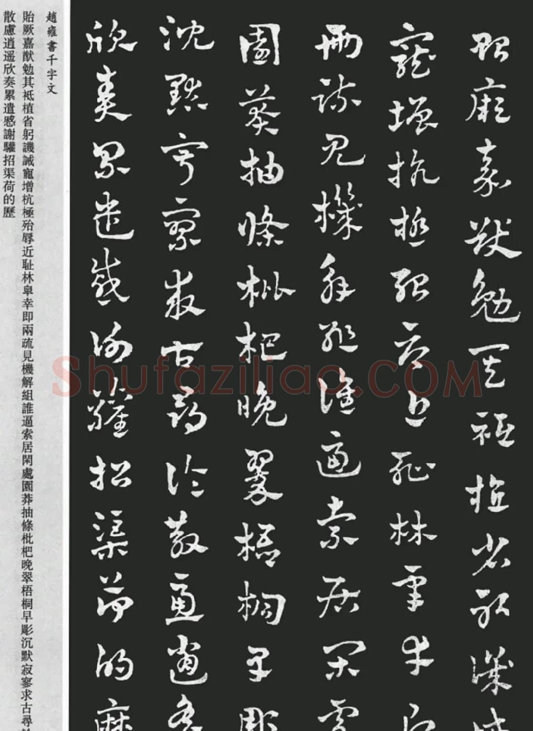 赵雍书法《章草千字文》大图欣赏 | 毛笔草书字帖