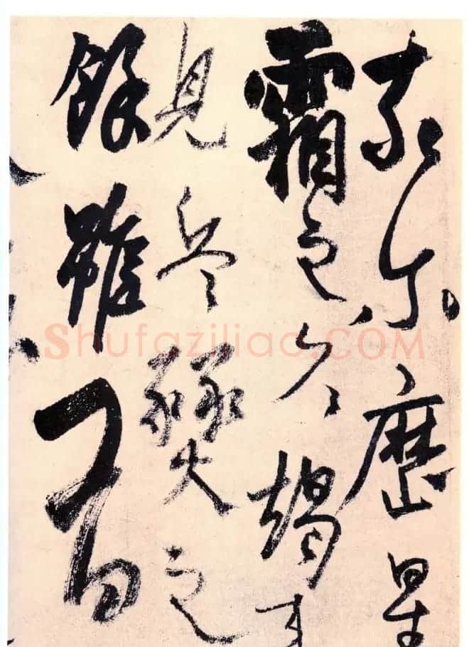 杨维禎铁崖体书法《真镜庵募缘疏》 | 书法作品鉴赏