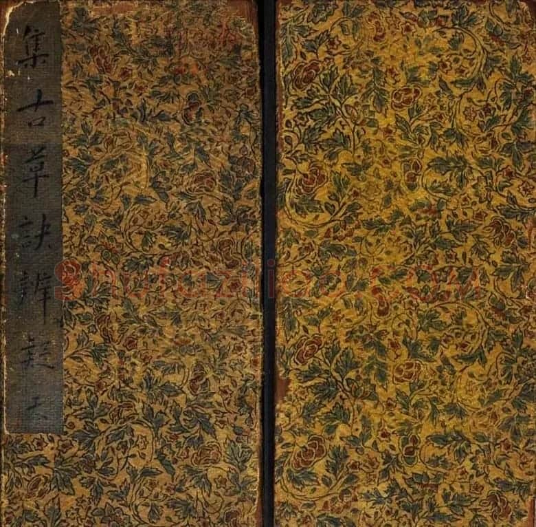 范文明撰集《集古草诀辩疑》天地二册 | 软笔草书字帖
