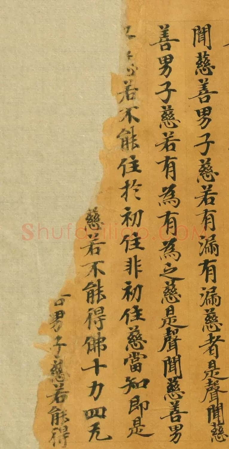 唐人写经《大般涅槃经卷第十五》(带签) | 敦煌写经鉴赏