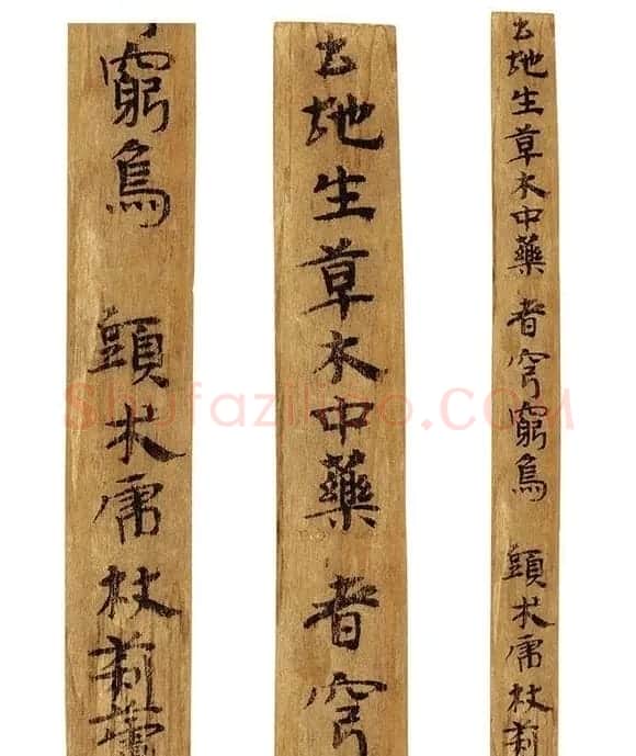 多体墨书《郴州苏仙桥三国吴简》 | 书法作品鉴赏