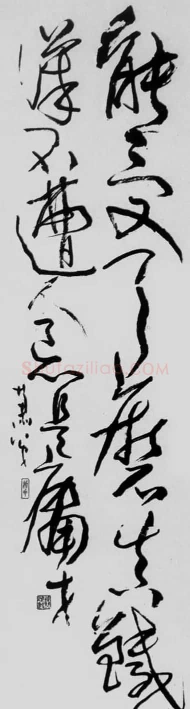 肖弟书法作品欣赏 | 软笔书法作品