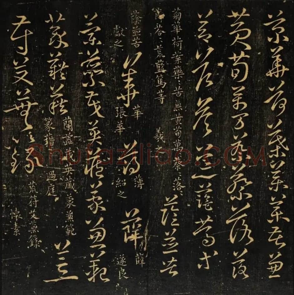 范文明撰集《集古草诀辩疑》天地二册 | 软笔草书字帖