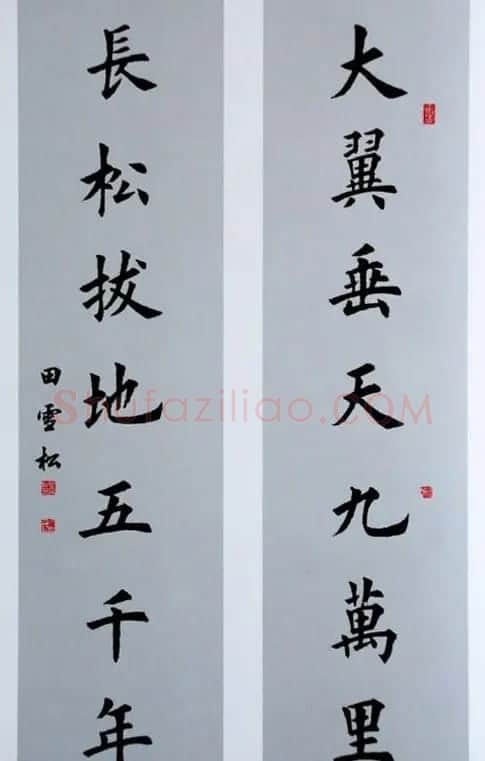 田雪松毛笔书法作品欣赏 | 书法作品鉴赏