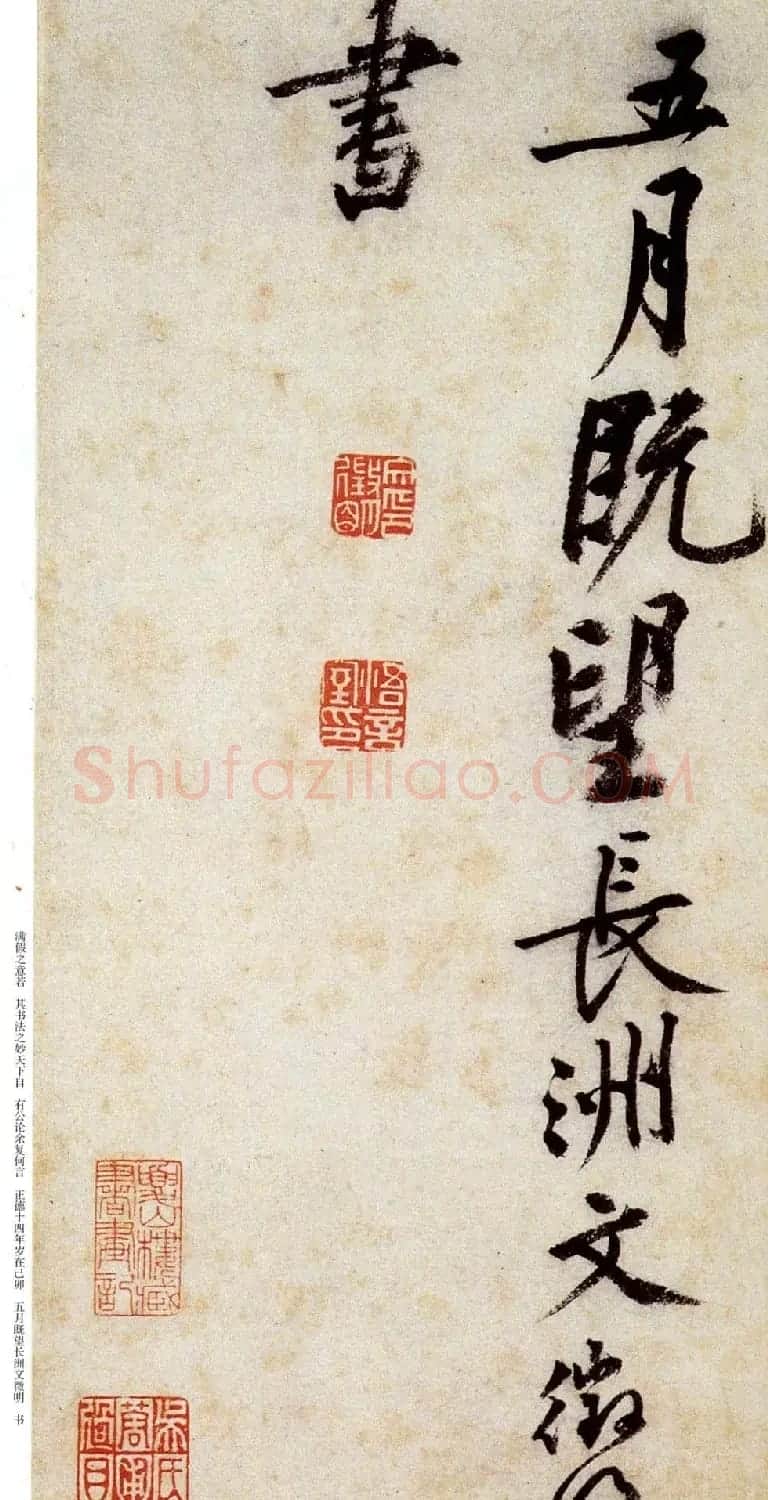 文徵明狂草艺术《草书诗卷》 | 书法名家作品鉴赏