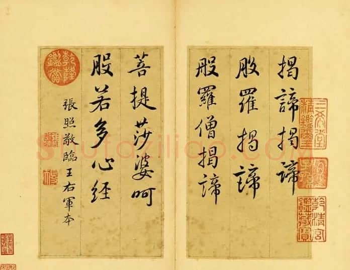 清朝刑部尚书张照行书欣赏《心经册》 | 心经书法作品