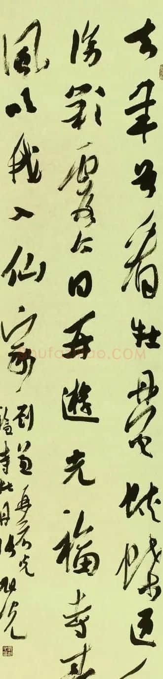 张旭光行草书法作品欣赏 | 书法作品赏析