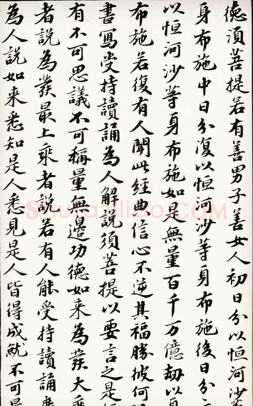 苏轼行楷书法欣赏《金刚经》全本 | 毛笔书法作品