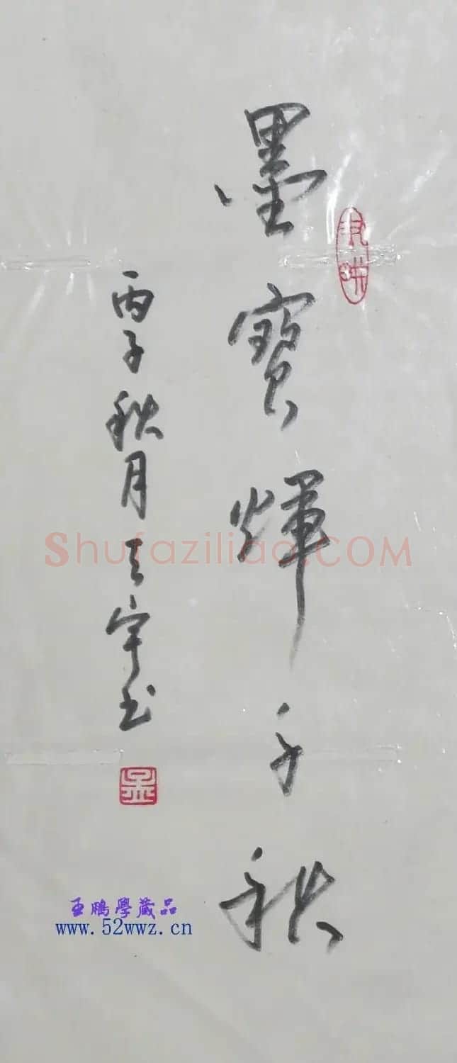 孟天宇书法题字2幅(毛笔+硬笔) | 书法名家作品欣赏