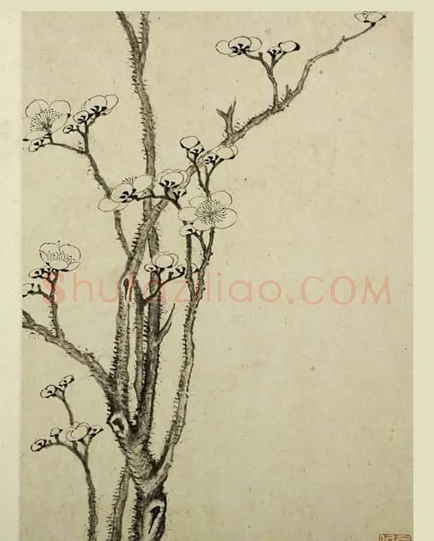 清代金俊明书画欣赏《梅花图册》 | 传世书法作品鉴赏