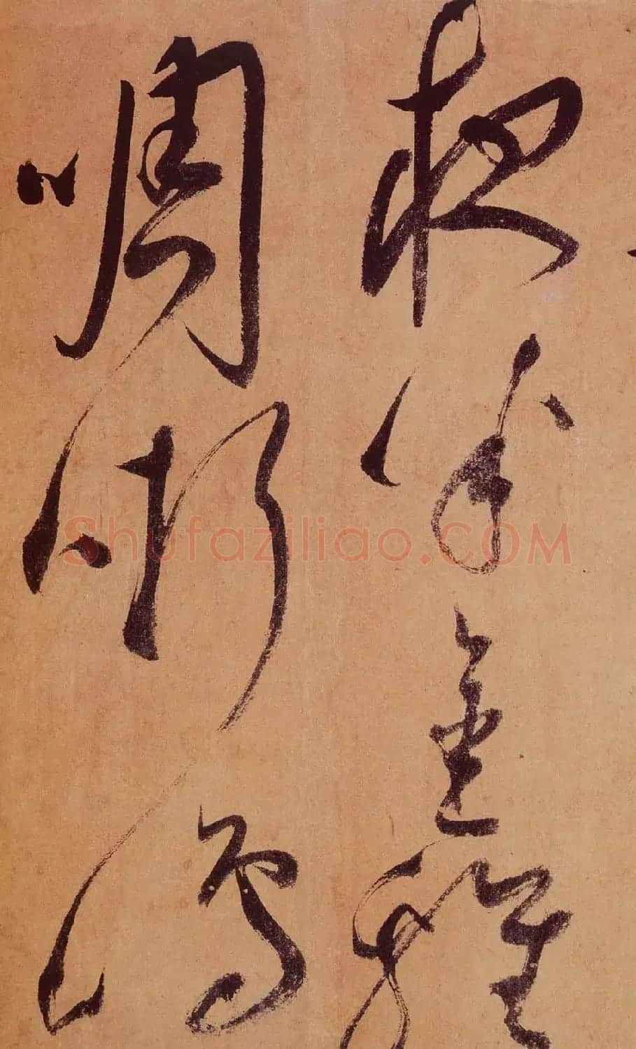 祝允明草书欣赏《桃源图诗册》 | 书法名家作品鉴赏