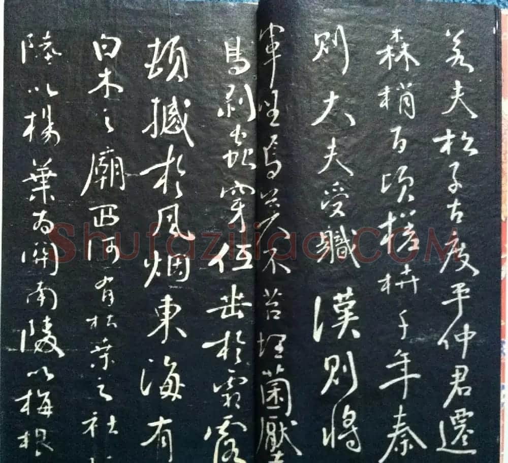 兰新家传书法碑帖分享《钱南园枯树赋》 | 毛笔书法作品