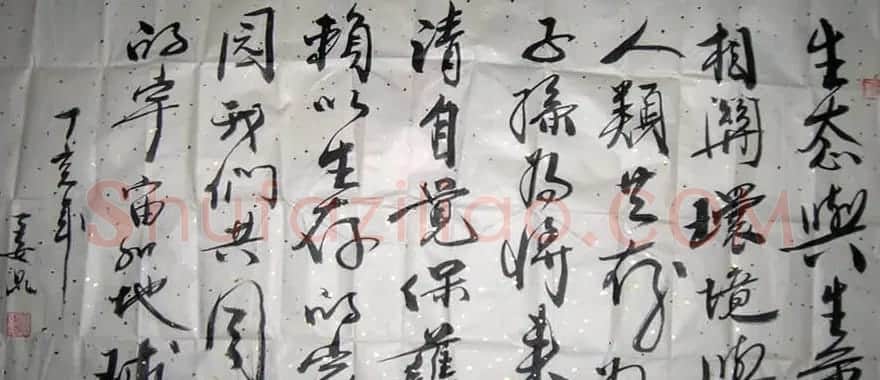大明星们的书法 | 书法作品赏析