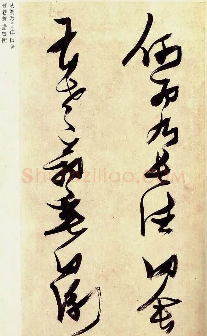 《明张瑞图草书偶然作》册页欣赏 | 毛笔草书字帖