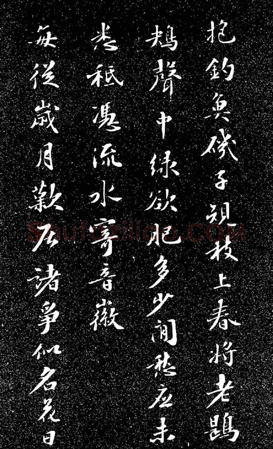 苏东坡49岁书落花诗（日本藏） | 软笔书法作品
