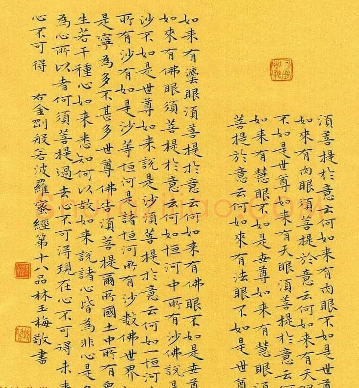漳州市女书法家林玉梅小楷金刚经 | 书法作品赏析