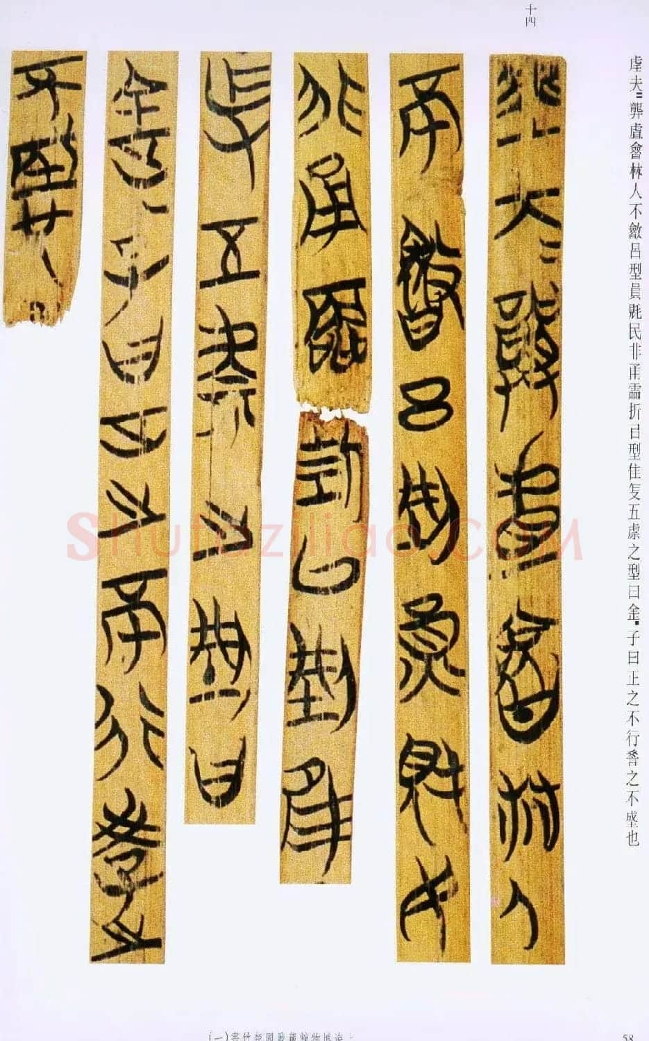 战国楚竹简书法欣赏《缁衣篇》 | 书法作品欣赏