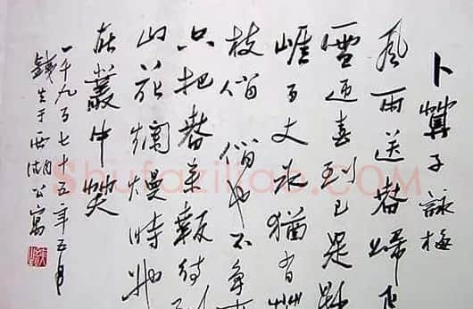 胡铁生书法作品欣赏 | 书法作品精选