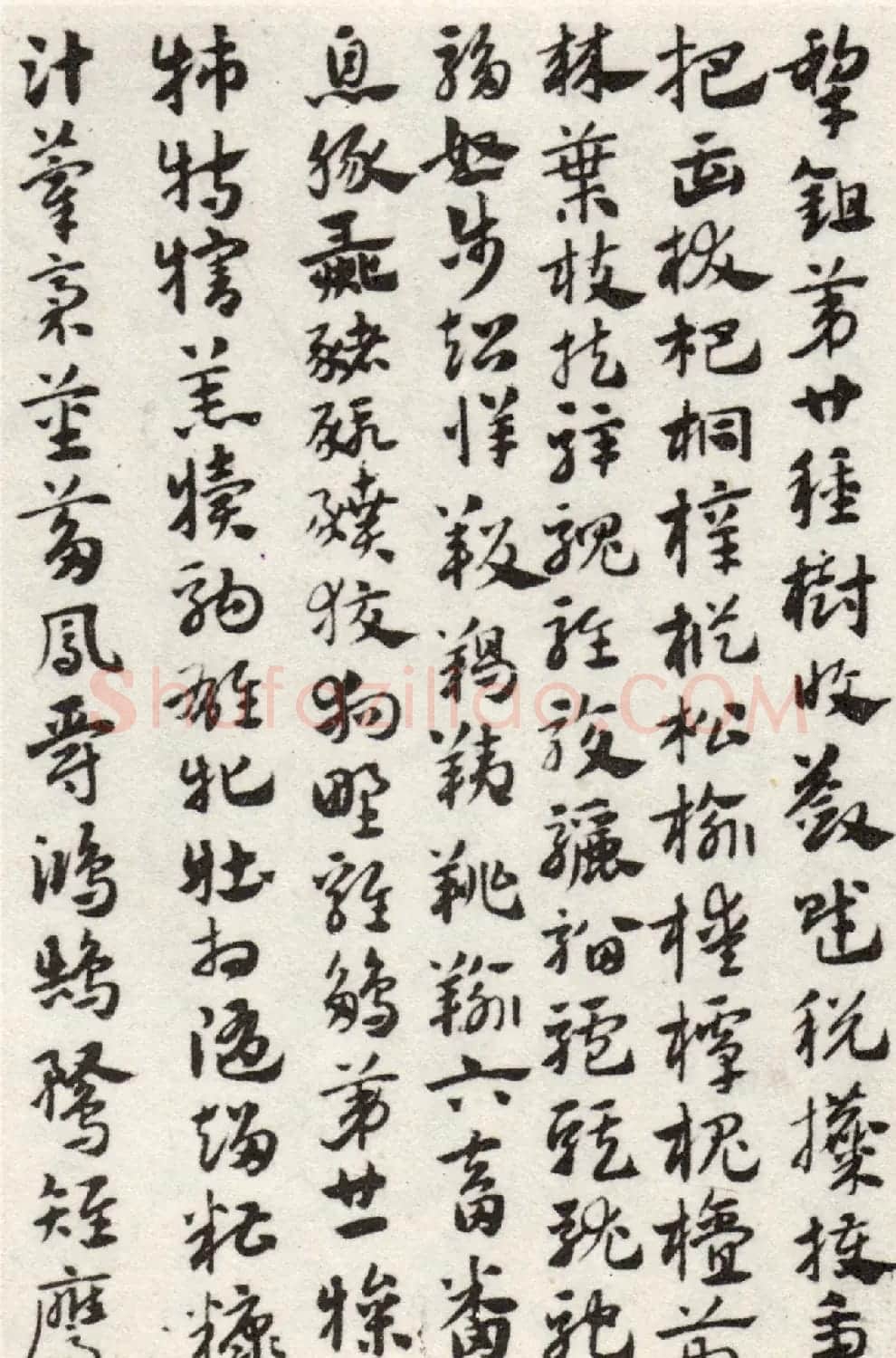 赵孟頫56岁章草《急就章》上海博物馆藏 | 书法名家作品鉴赏