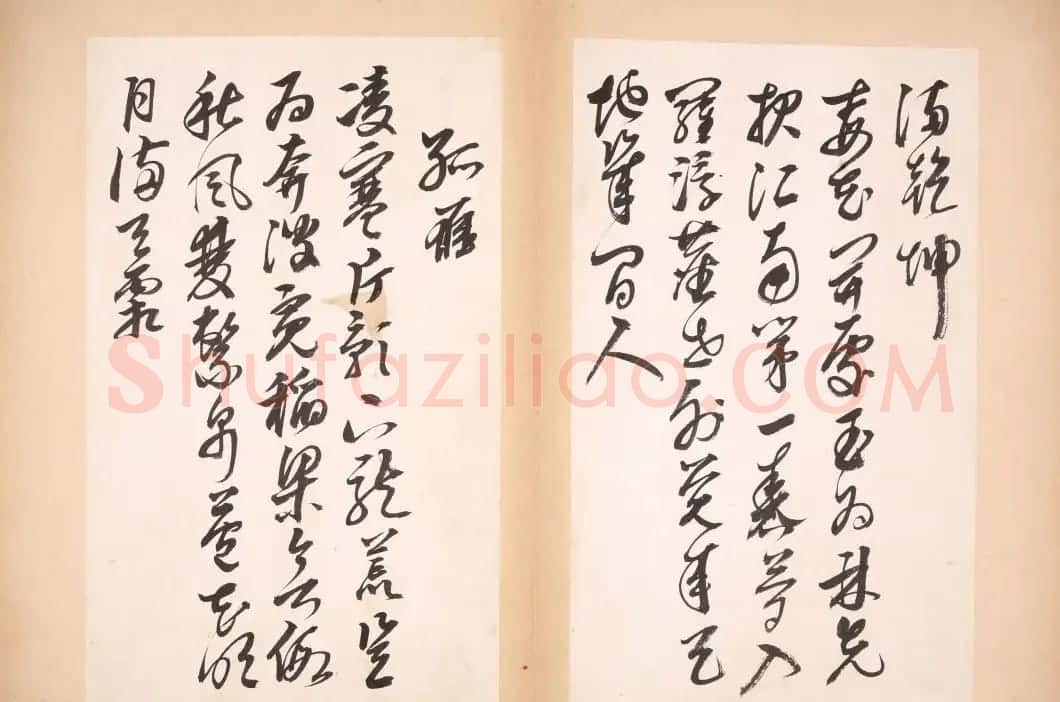 明代女书画家邢慈静草书欣赏 | 名家书法作品赏析