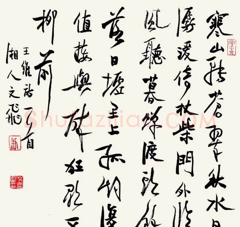 肖文飞毛笔书法作品欣赏 | 书法作品赏析