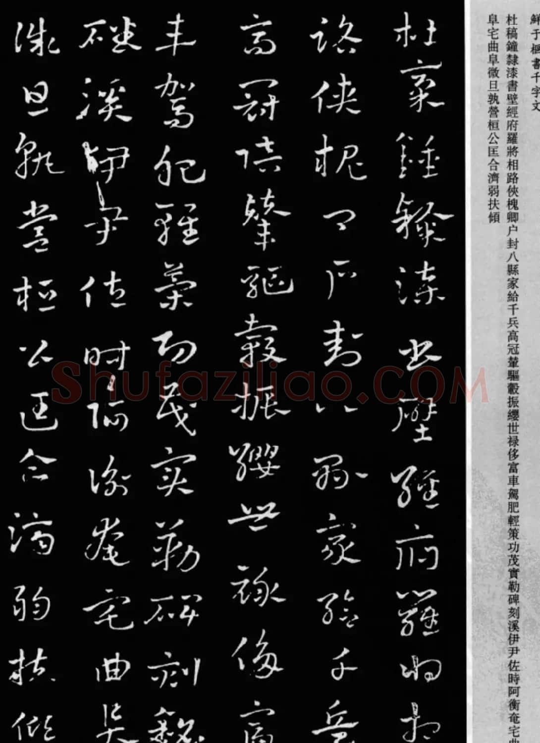 鲜于枢章草书法欣赏《千字文》大图 | 软笔草书字帖